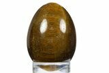 Polished Tiger's Eye Egg - South Africa #312701-1